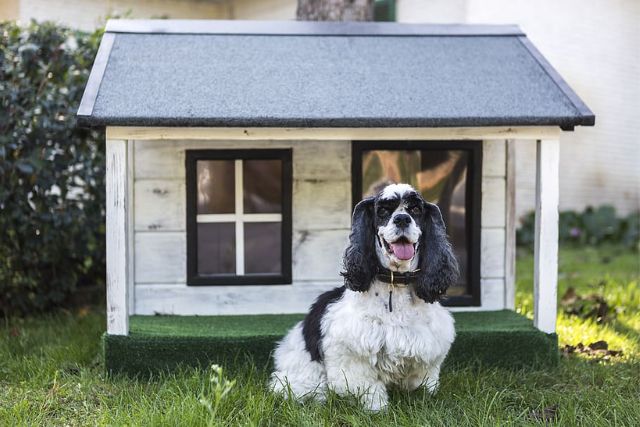 Introducing how to use the Outdoor Dog Kennel
