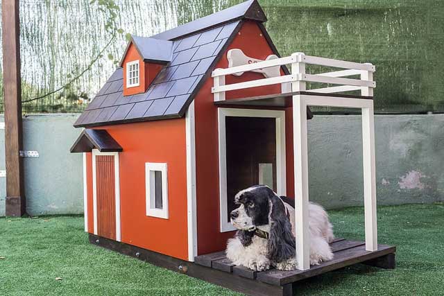 large Outdoor Dog Kennel