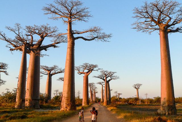 Madagascar Best place in Africa