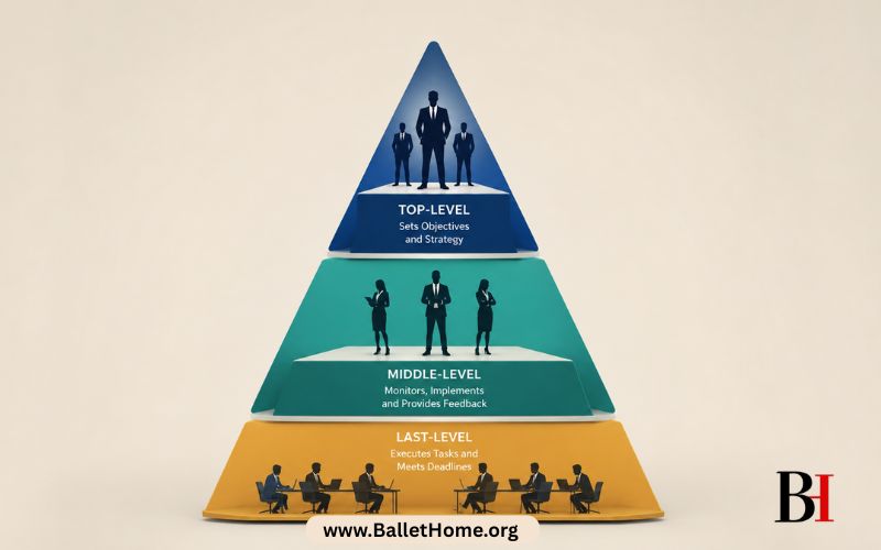 Management Structure and Organizational Levels