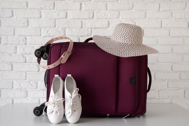 Travel Accessories for Women