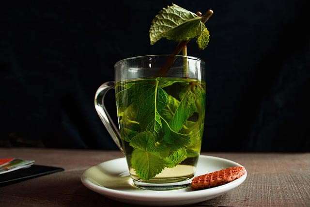 Green Tea for Weight Loss