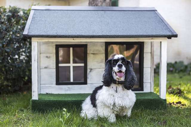 Introducing the Outdoor Dog Kennel