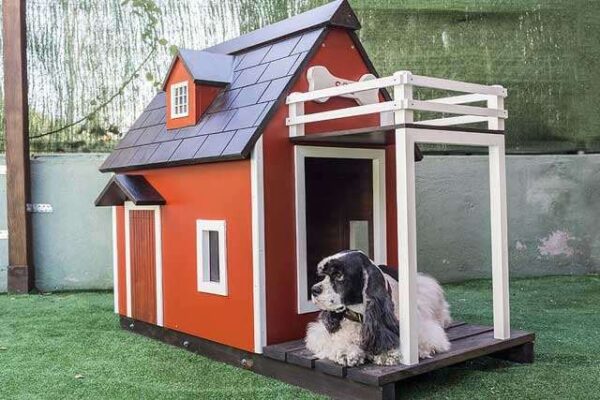 Outdoor Dog Kennel