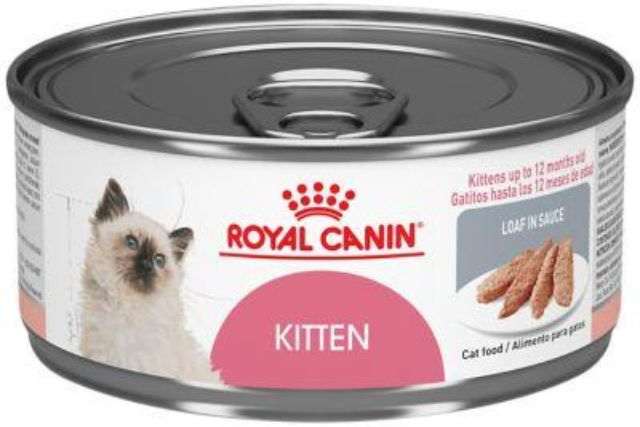 Royal Canin Kitten Food