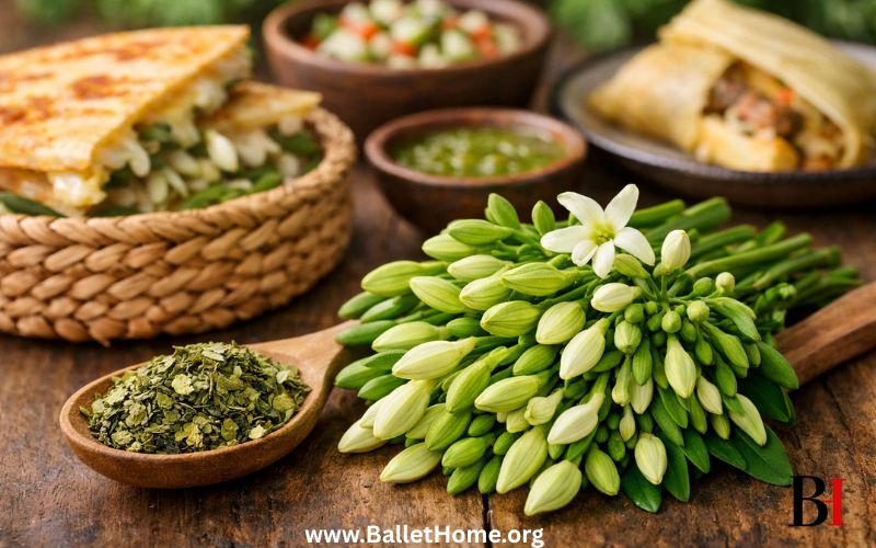 The Loroco Benefits and Its Uses